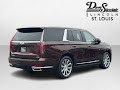 2023 Cadillac Escalade Premium Luxury Platinum