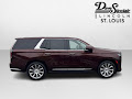 2023 Cadillac Escalade Premium Luxury Platinum