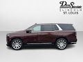 2023 Cadillac Escalade Premium Luxury Platinum